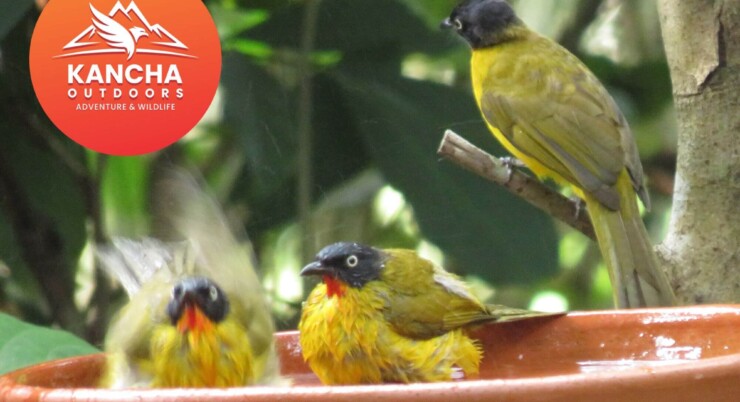 Unexplored Wild Goa