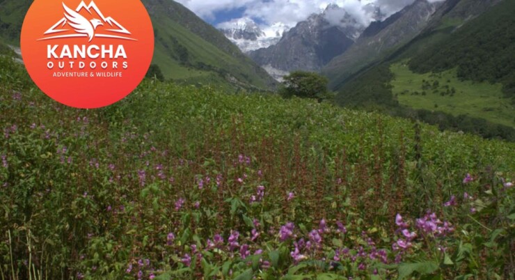 Valley Of Flowers
