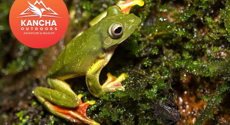 Discover Tillari & Doda